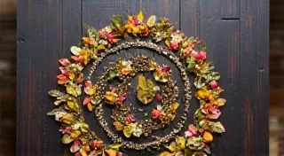 The Cartomancer’s Herbs:  Plant Divination and Healing Beliefs