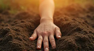 The Gardener’s Intuition: The Art of Botanical Observation