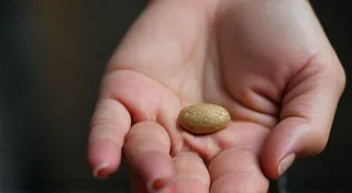 The Seed Keeper's Legacy:  Preserving Botanical Heritage