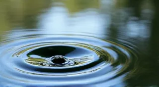 Symphony of Scents: Aromatics and the Regional Sensory Experience